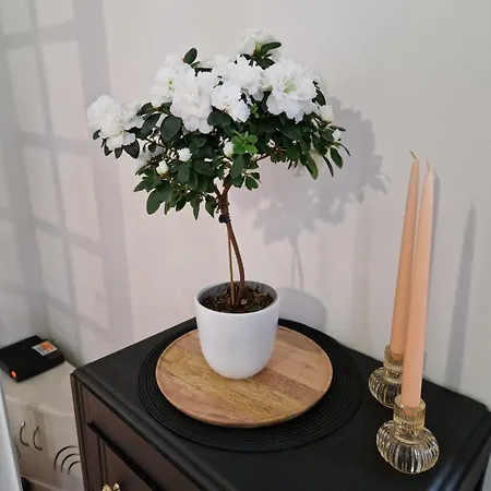 Le Petit Coin De La Bastide 11 Lejlighed