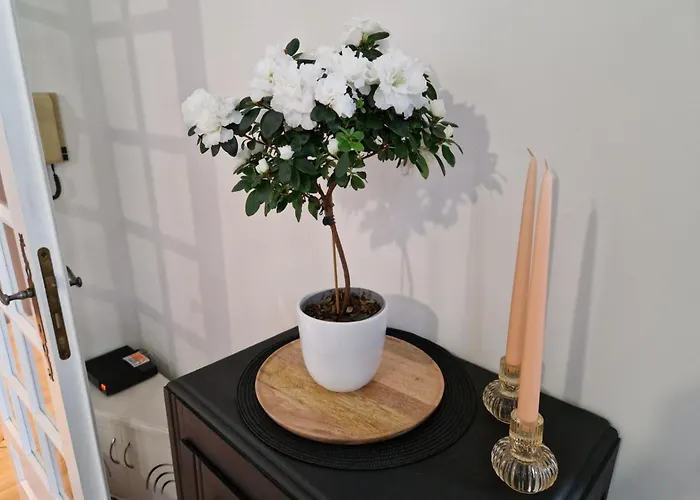 Le Petit Coin De La Bastide 11 Appartamento